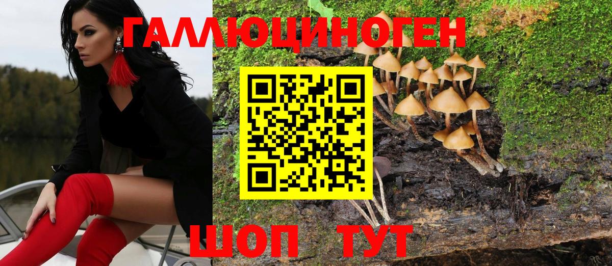 Псилоцибиновые грибы MAGIC MUSHROOMS  Вход с VPN  Печора  Псилоцибиновые грибы Psilocybe 