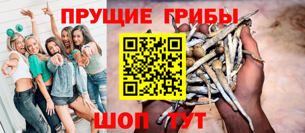 Галлюциногенные грибы прущие грибы Печора